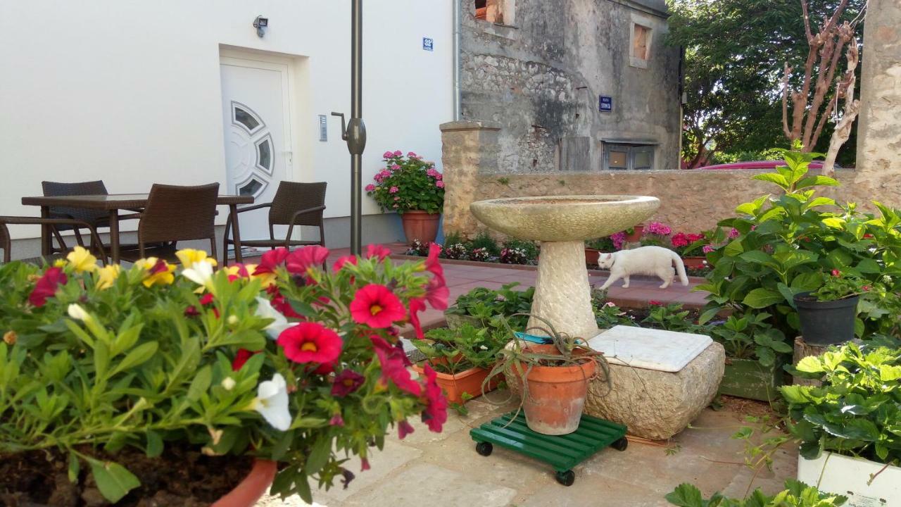 Apartmani Filip Zadar Diklo Exteriér fotografie