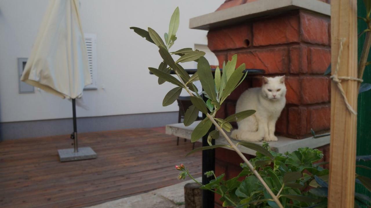 Apartmani Filip Zadar Diklo Exteriér fotografie